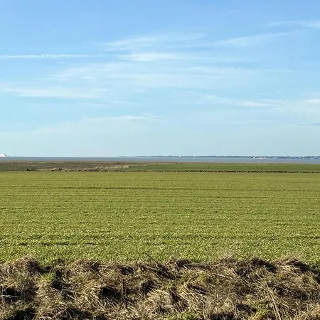 Beautiful In With Wifi Сasa de vacaciones